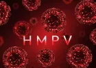 HMPV (Human Metapneumovirus): क्या है, लक्षण, और बचाव के उपाय