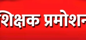 प्राथमिक शिक्षकों के प्रमोशन पर हाईकोर्ट का बड़ा फैसला